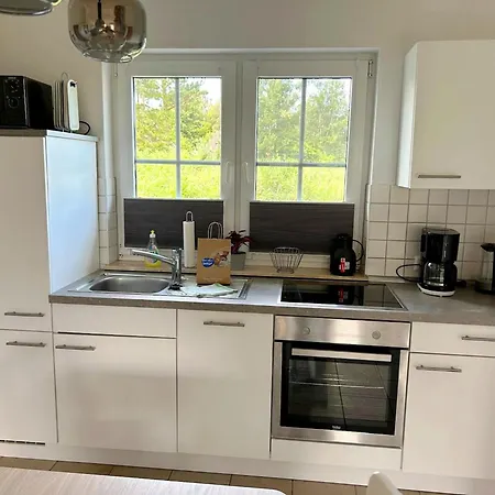 度假居 Am Deich Haus 18 青斯特